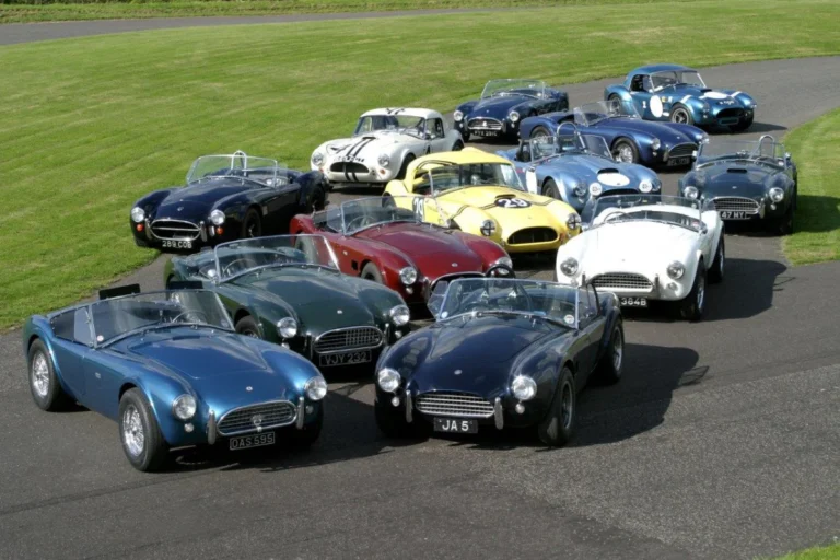 Haynes Museum Cobra Celebration